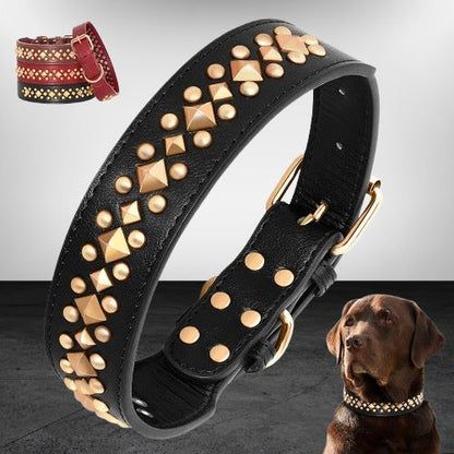 collier-cuir-chien-noir-cloute