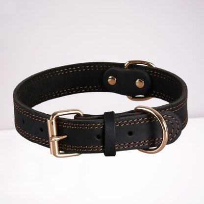Collier Cuir Chien | Luxcuir™