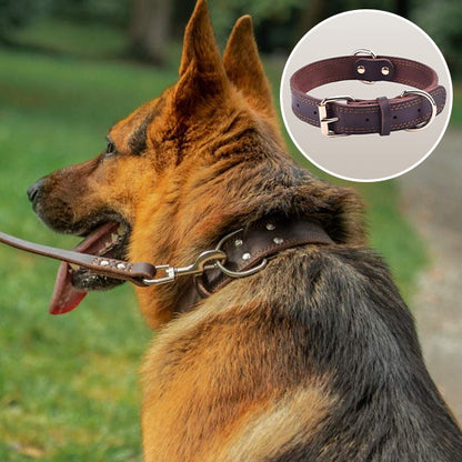 collier-cuir-chien-noir