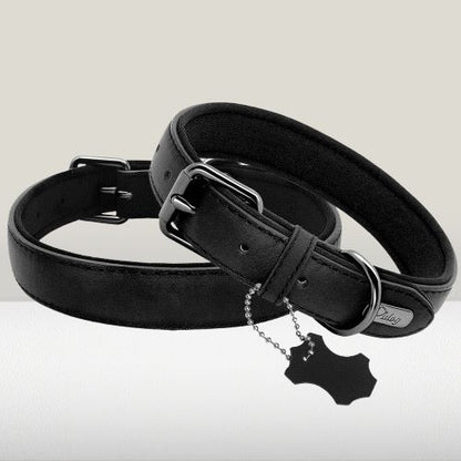 collier-cuir-chien-noir