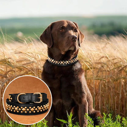 collier-cuir-chien-robuste-elegant