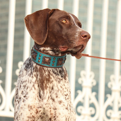 collier-cuir-chien-veritable-bleu