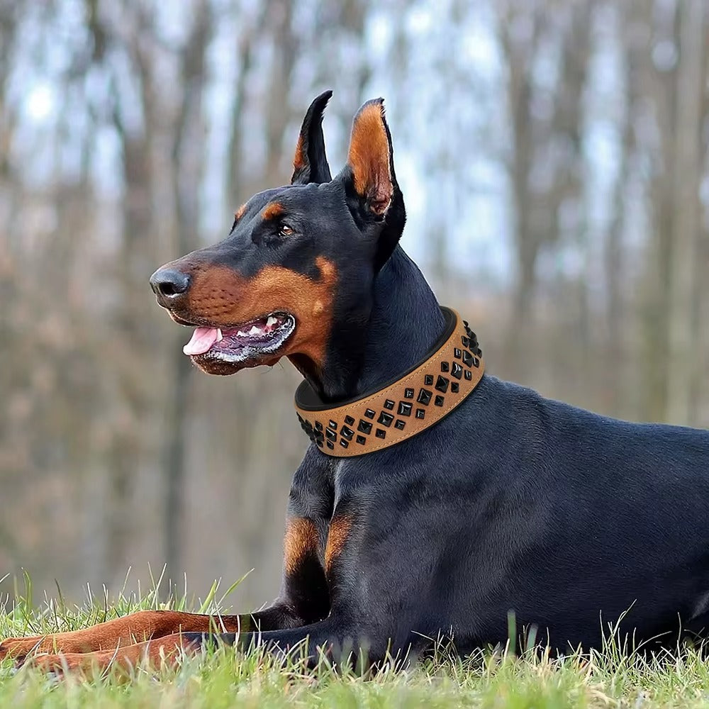 collier-en-cuir-pour-chien-cloute-marron-design-rivets