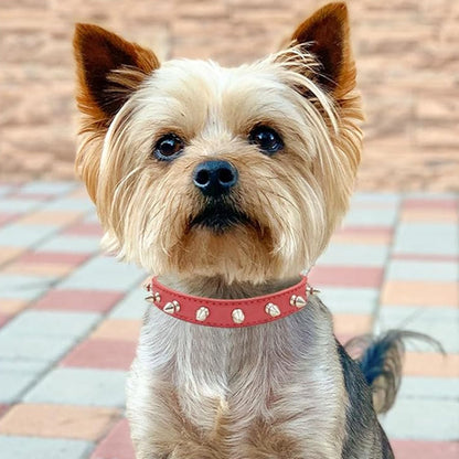 collier-en-cuir-pour-chien-rivets-decoratifs