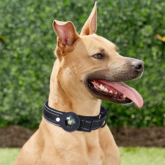 Collier GPS chien noir avec airtag