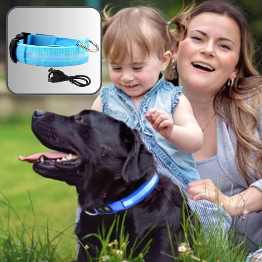 COLLIER LUMINEUX CHIEN | SecurCollar™