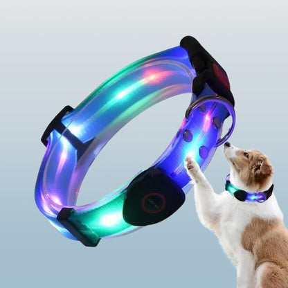 collier-lumineux-chien-led-bleu