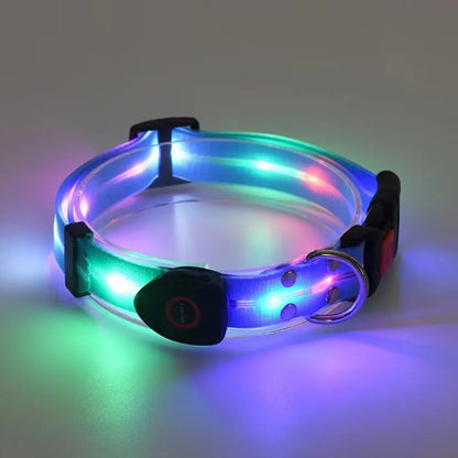collier-lumineux-chien-led-bleue