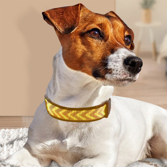 collier-lumineux-chien-led-defilant-jaune-moovled