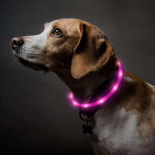 collier-lumineux-chien-led-rose-cocomoyo