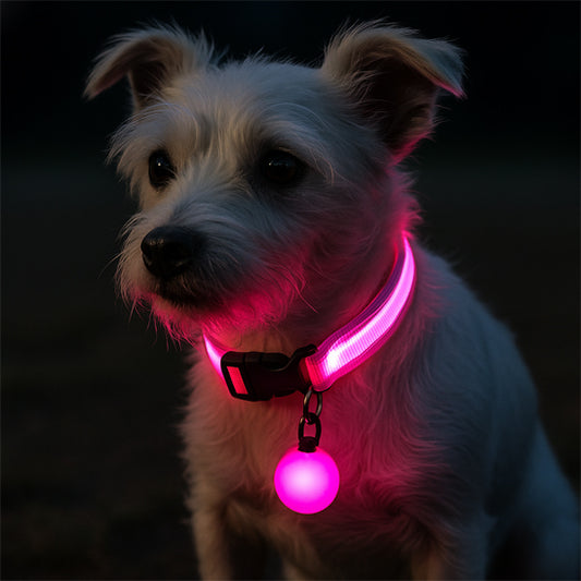 collier-lumineux-chien-rose-usb-rechargeable-securcollar