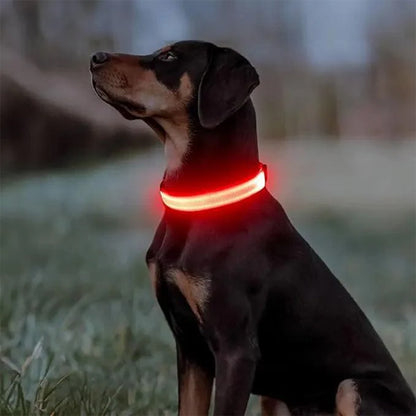 collier-lumineux-chien-rouge-securite-nuit-securcollar