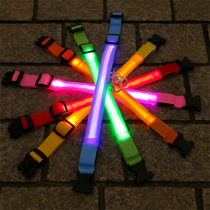 Collier Lumineux Chien | SecurCollar™