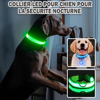 collier-lumineux-chien-securite