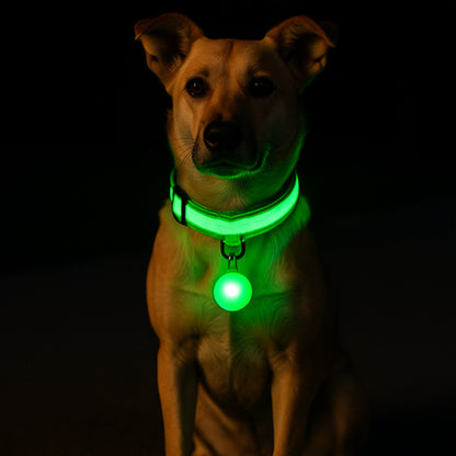 collier-lumineux-chien-vert-ajustable-confortable-securcollar