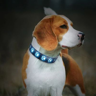collier-lumineux-pour-chien-design-pattes-funnyledcollar