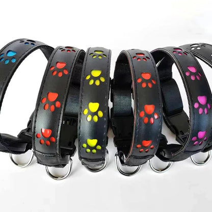 collier-lumineux-pour-chien-led-pattes-funnyledcollar