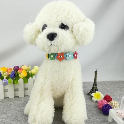 collier-pour-chien-couleur-bleu-clair-caniche-puppycolor