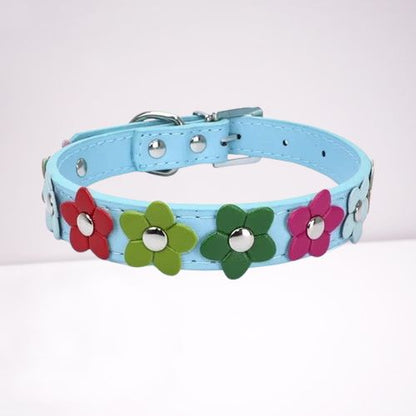 collier-pour-chien-couleur-bleue-clair