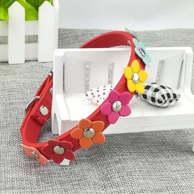 collier-pour-chien-couleur-design-floral-caniche-puppycolor