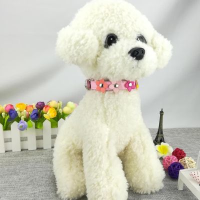 collier-pour-chien-couleur-rose-clair-caniche-puppycolor