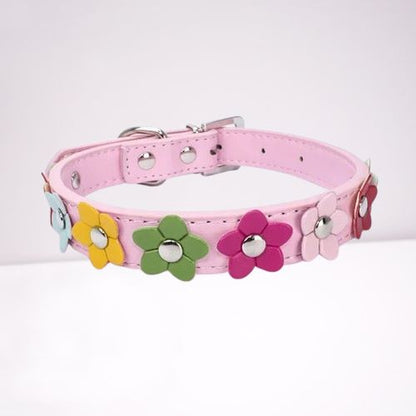 collier-pour-chien-couleur-rose-clair