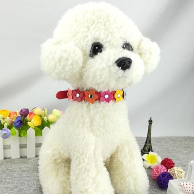 collier-pour-chien-couleur-rouge-clair-caniche-puppycolor