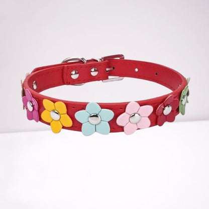 collier-pour-chien-couleur-rouge