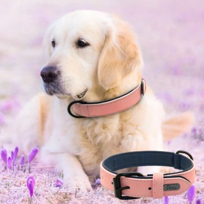 collier-pour-chien-cuire-rose