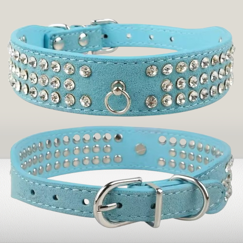 collier-pour-chien-en-cuir-bleu-strass