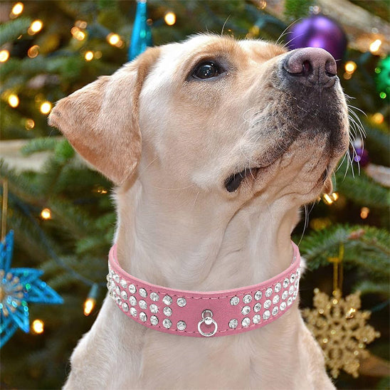 collier-pour-chien-en-cuir-rose