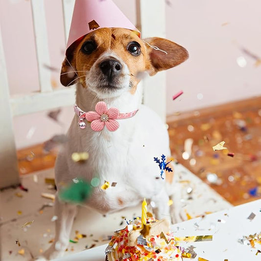 collier-pour-chien-festif-fleur-chichipet