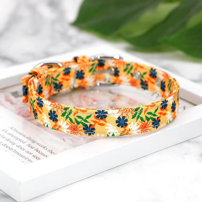 collier-pour-chien-floral-orange
