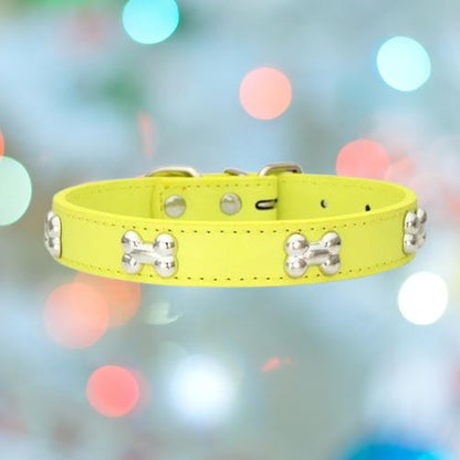 collier-pour-chien-jaune-os-flashPet