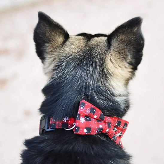 collier-pour-chien-noeud-papillon-chic-rouge-beautycollar