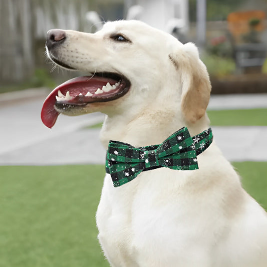 collier-pour-chien-noeud-papillon-vert-beautycollar