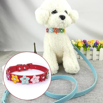 collier-pour-chien-rouge-fleur