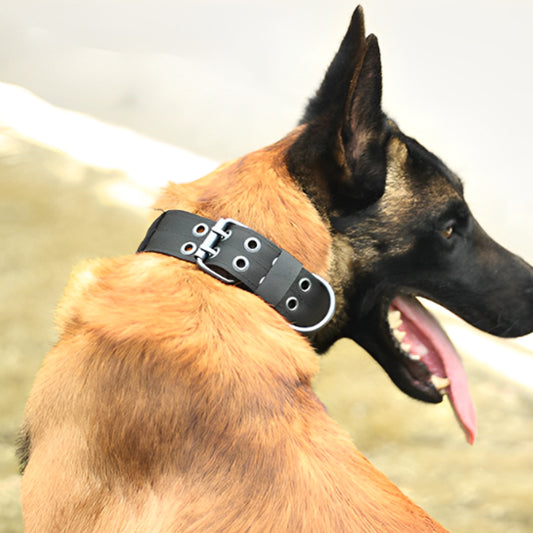 collier-pour-chien-tactique-noir-doggytactik