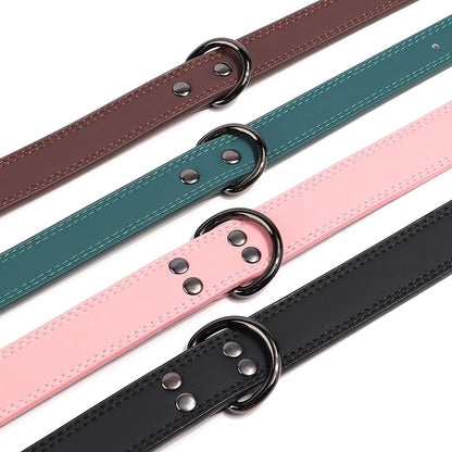Collier Chien Cuir | AfirmDog™