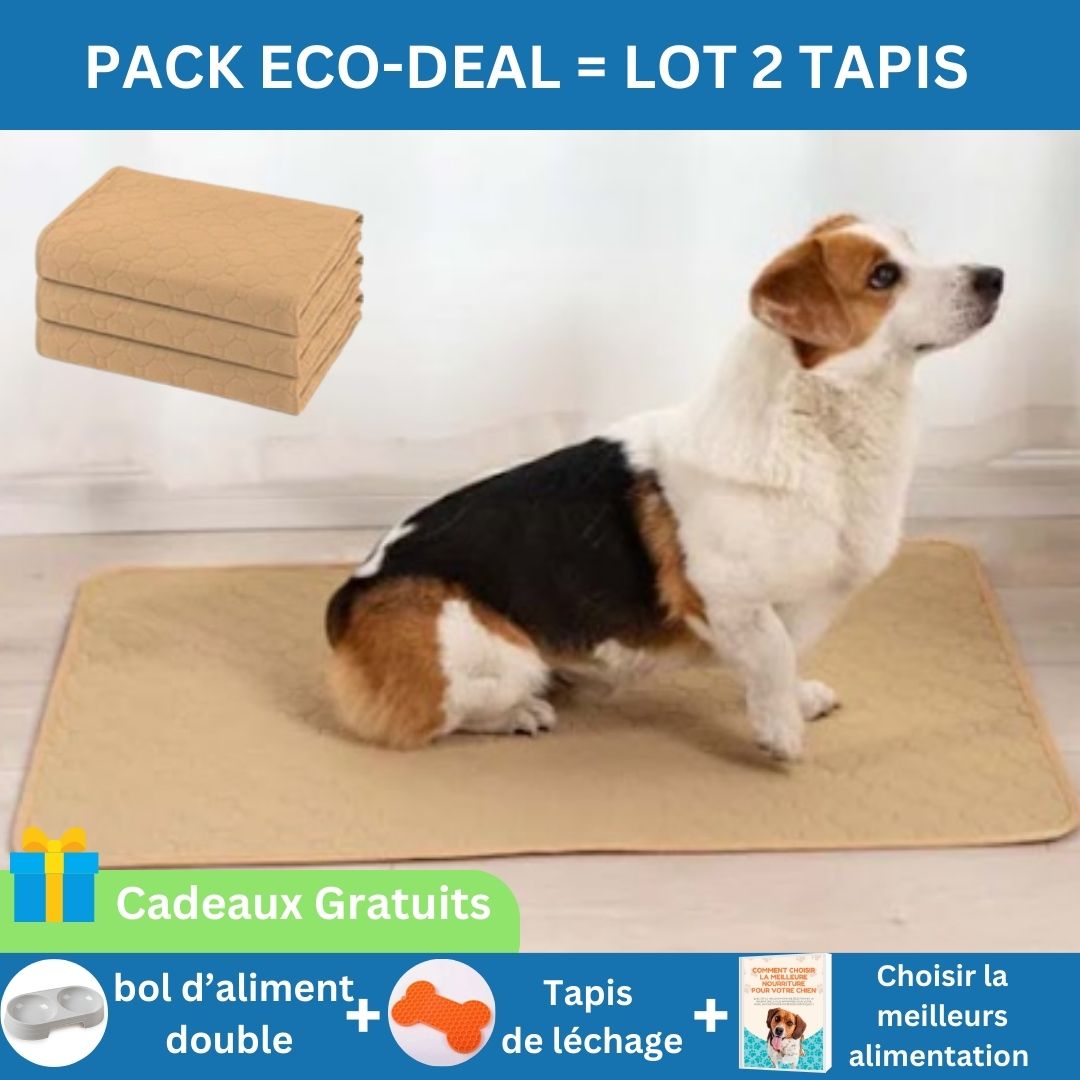 Tapis de propreté lavable pour chien | Pet-clean™