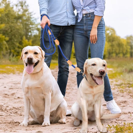 double-laisse-chien-bleu-labradors-assis-polyvalpets