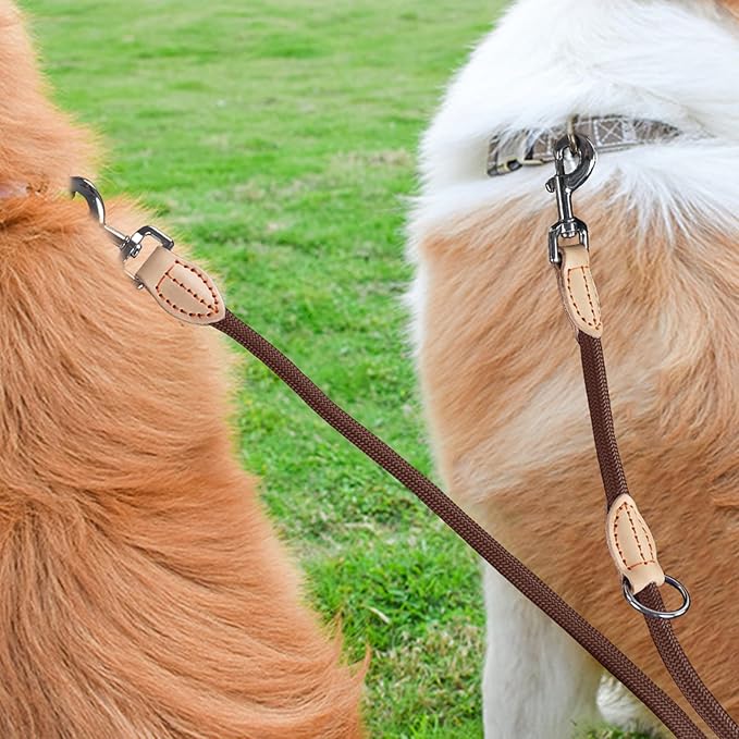double-laisse-chien-marron-vue-dos-polyvalpets