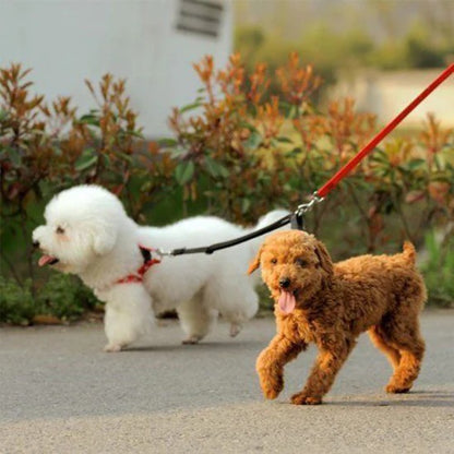double-laisse-chien-retractable-petits-poilus-funnyduo