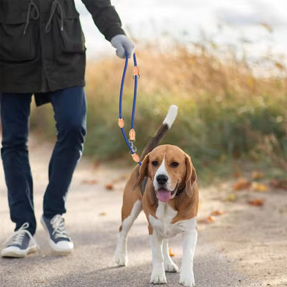 Double laisse Chien | PolyvalPets™