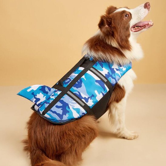 Gilet de sauvetage chien bleu avec aileron ludique