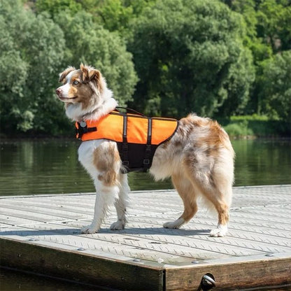 Gilet de sauvetage Chien orange et noir mousse haute densité