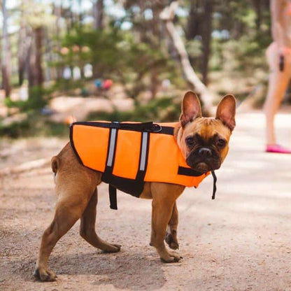 Gilet de sauvetage Chien orange et noir sécurité maximale