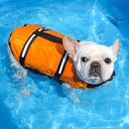 Gilet de sauvetage Chien orange noir sur bulldog imperméable