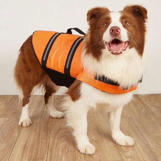 Gilet de sauvetage Chien orange réfléchissant mousse haute densité 