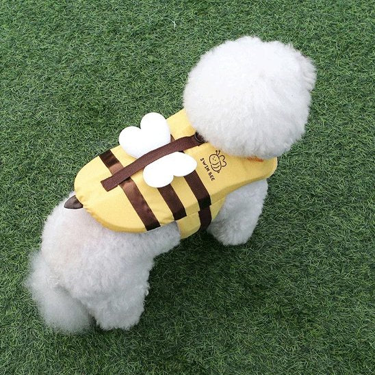 Gilet de sauvetage chien porté par bichon en balade